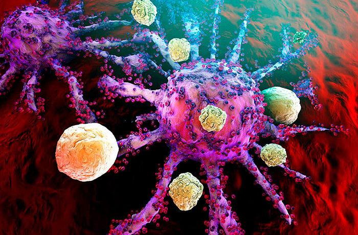 haematopoietic-like-signalling